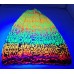 TYD-1214 : Childrens Slouchy Blacklight Neon Knitted Hat at RTD Gifts