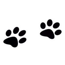 Large Paw Print Floor Decal Cling