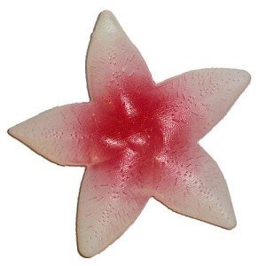RTD-1770 : Plastic Starfish Decoration at RTD Gifts