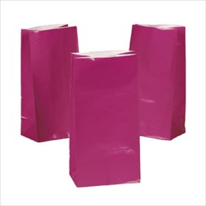 RTD-231812 : 12-Pack Fuchsia Hot Pink Paper Treat Bags at RTD Gifts