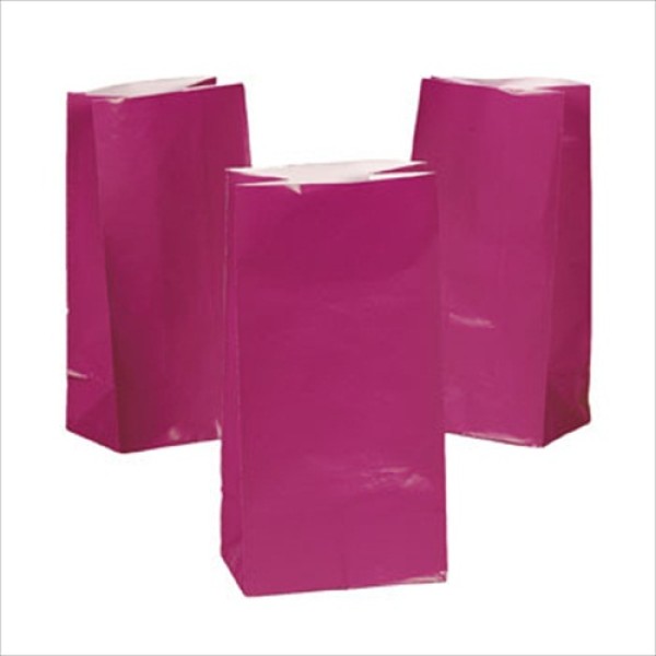 Fuchsia Hot Pink Paper Treat Bags Fuchsia Hot Pink Paper Treat Bags