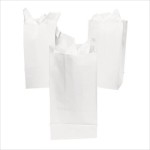 White Paper Treat Bags