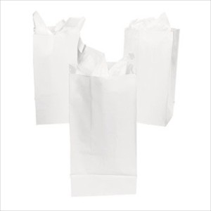 RTD-2321 : White Paper Treat Bags at RTD Gifts