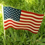 Small Plastic American Flag