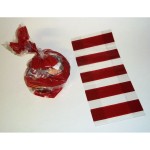 Red Striped Cellophane Party Favor Treat Bags