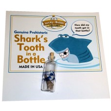 Genuine Shark's Tooth in a Bottle