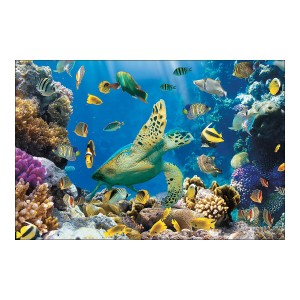 RTD-2815 : Undersea Ocean Backdrop Banner at RTD Gifts