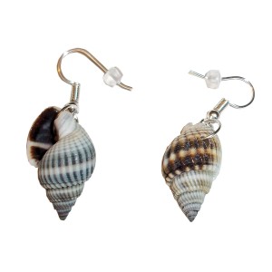 RTD-3998 : Pair of Spiral Shell Earrings at RTD Gifts