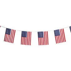 16 foot String Banner with 12 USA 12x18 inch American Flags 16 foot String Banner with 12 USA 12x18 inch American Flags