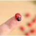 RTD-3619 : Wooden Stick-On Adhesive Back Ladybug Charms for Dollhouse Crafts at RTD Gifts