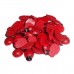 RTD-3663 : Wooden Ladybug Charms for Miniature Crafts at RTD Gifts