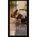 RDD-1006 : Police K-9 Unit Puppy Dog Costume Vest - Size Small at RTD Gifts