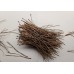 TYD-1200 : Dried Pine Needles Bundle at RTD Gifts